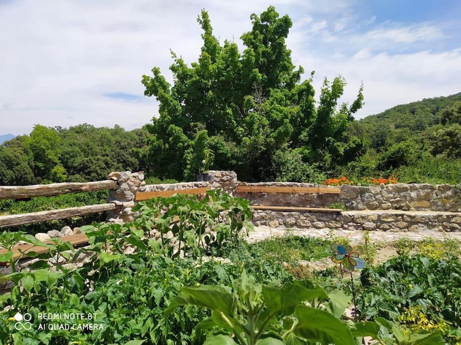 Bed and Breakfast Massia Gasset Senterada Exterior foto