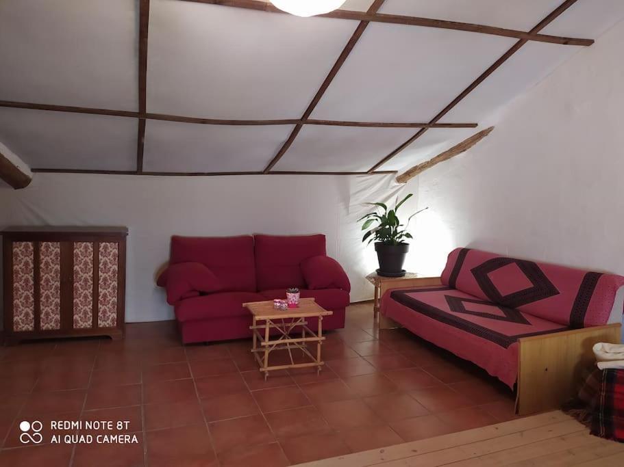 Bed and Breakfast Massia Gasset Senterada Exterior foto
