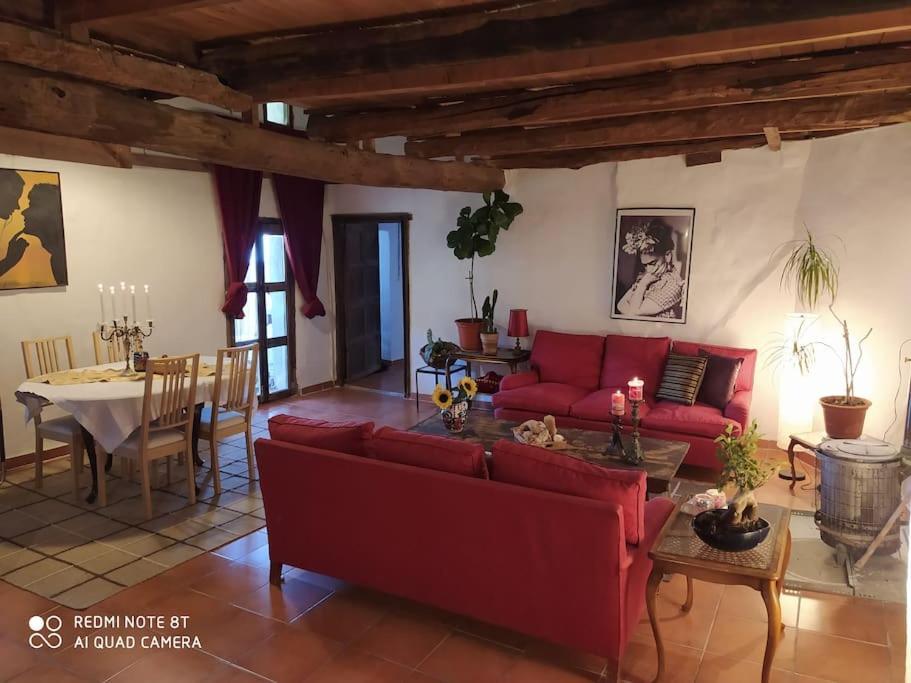 Bed and Breakfast Massia Gasset Senterada Exterior foto